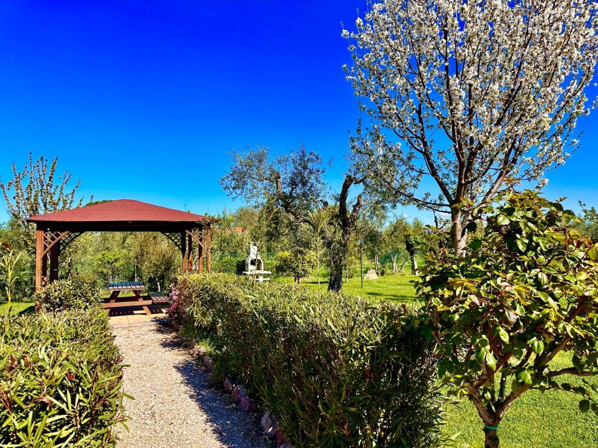 Agriturismo Re Di Fiori Доноратико Экстерьер фото