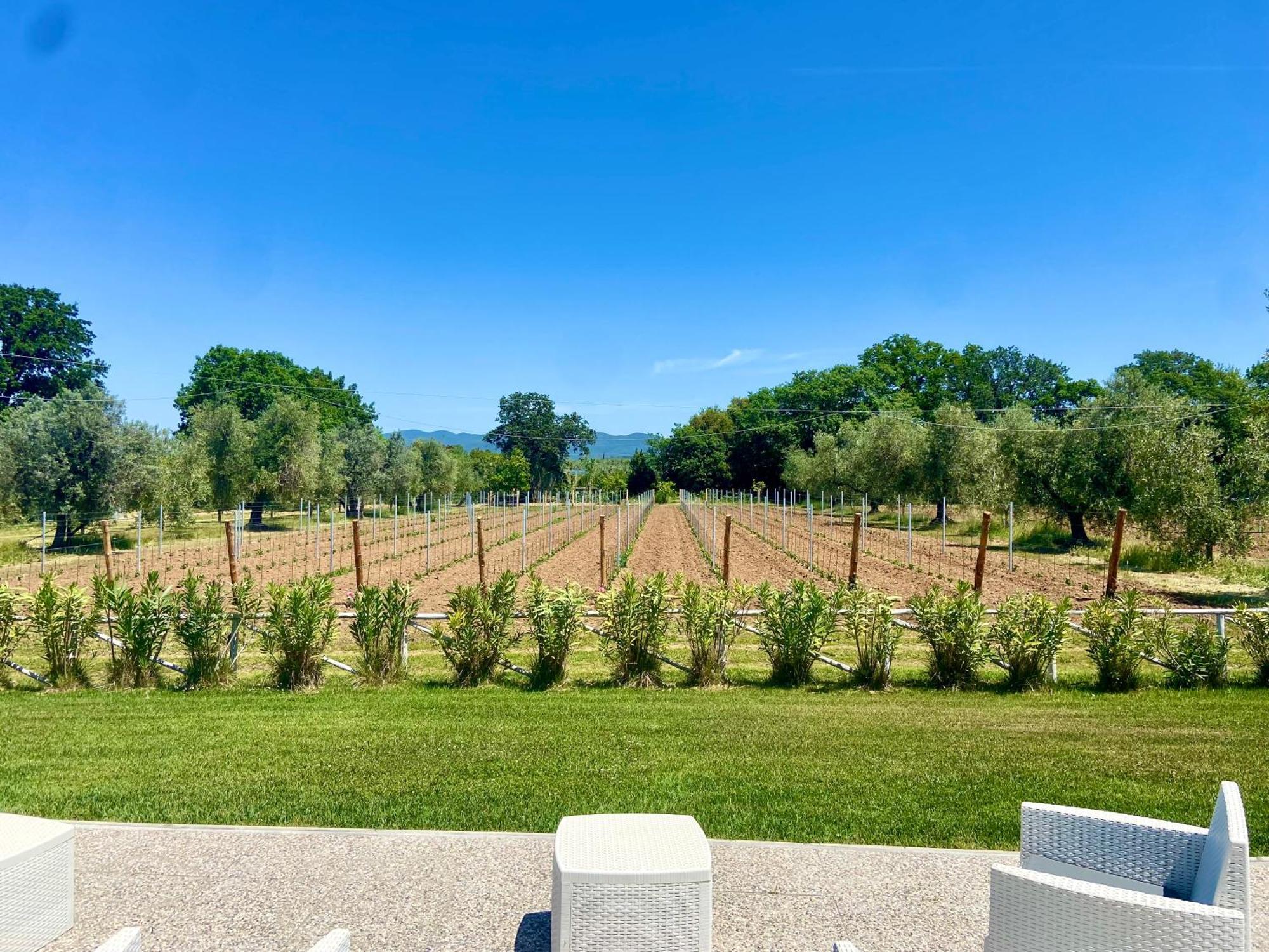 Agriturismo Re Di Fiori Доноратико Экстерьер фото