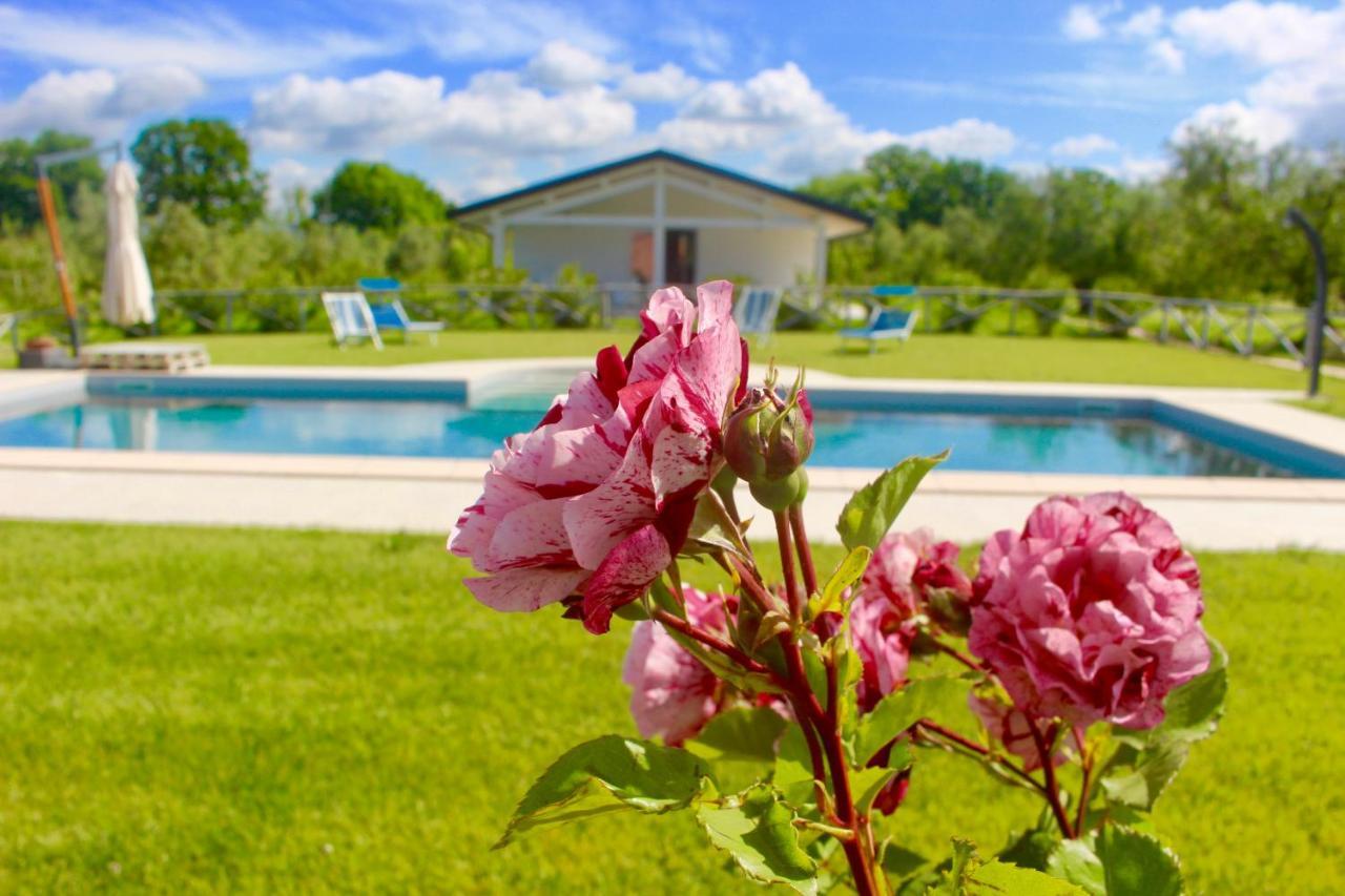 Agriturismo Re Di Fiori Доноратико Экстерьер фото